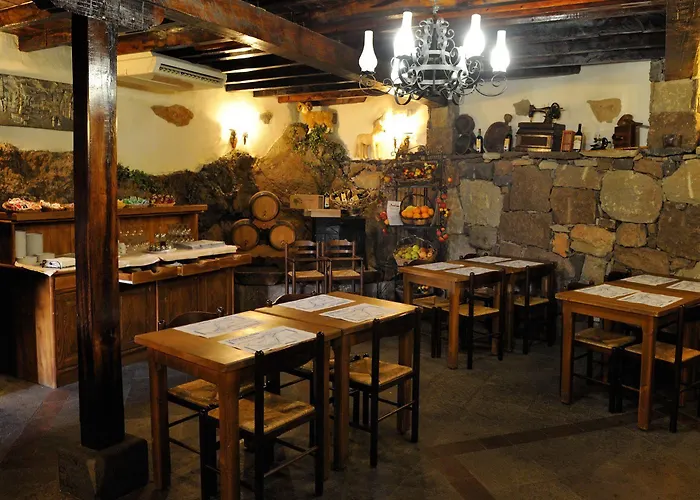 El Nogal Boutique & 4* 维拉弗洛尔